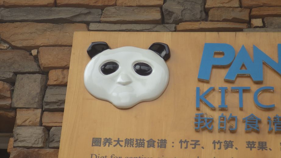こわいパンダ_R