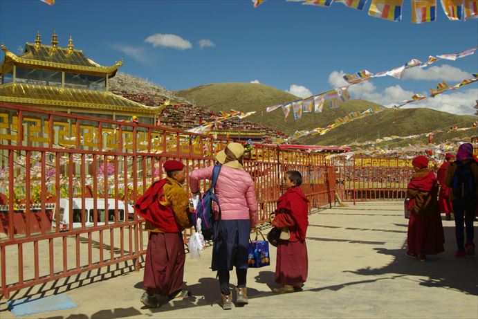 ラルンガルゴンパ：チベット小僧が撮った (50)_R