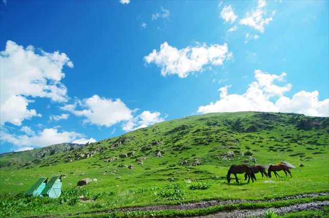 アルティンアラシャン下山 (3)_R