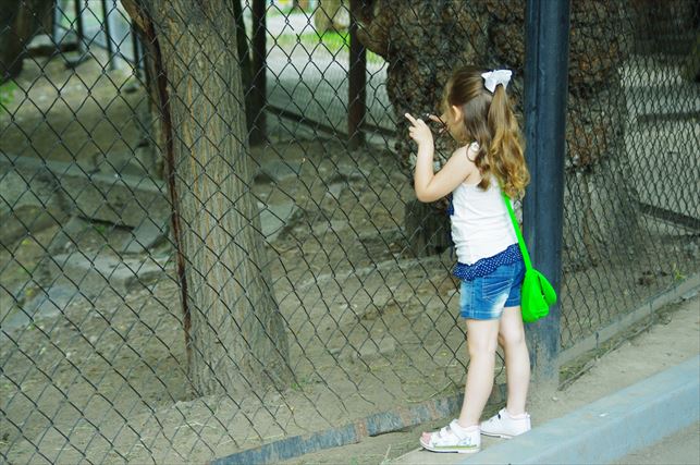 アルマトイの動物園 (75)_R