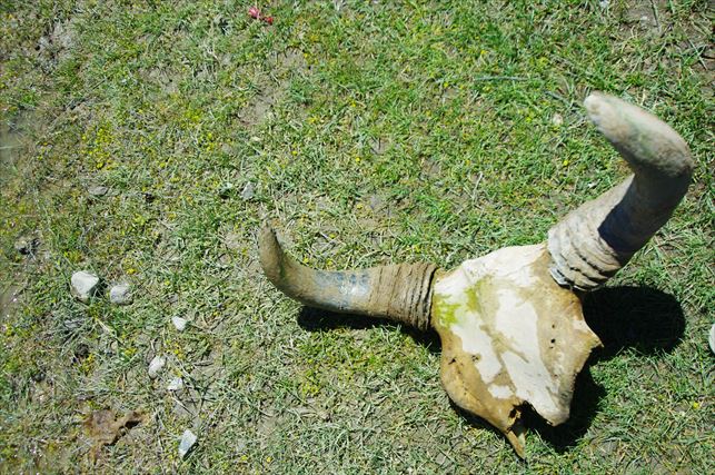 アリチュールの街歩き (28)_R