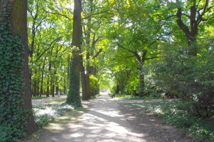 ワジンスキー公園 (2)