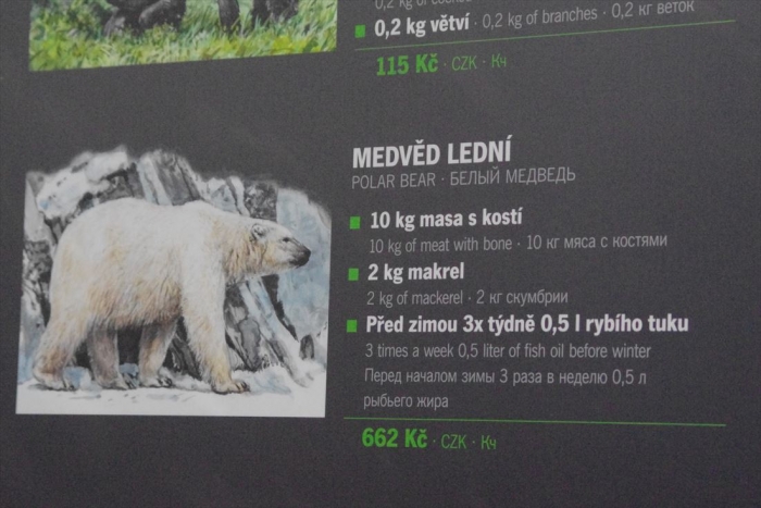 プラハ動物園 (27)_R