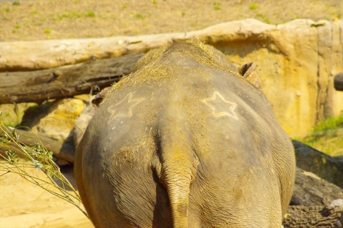プラハ動物園 (62)_R
