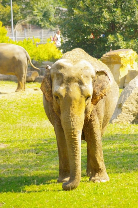 プラハ動物園 (69)_R