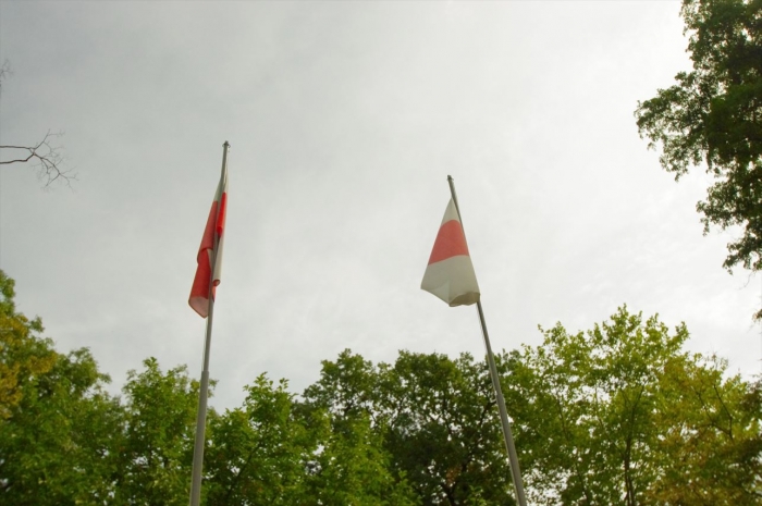ヴロツワフ日本庭園 (1)