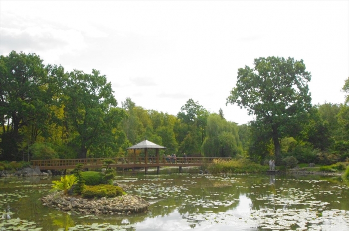 ヴロツワフ日本庭園 (12)