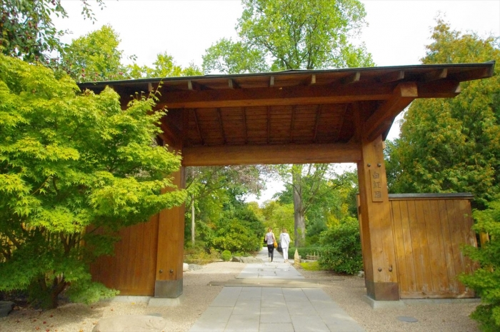 ヴロツワフ日本庭園 (5)