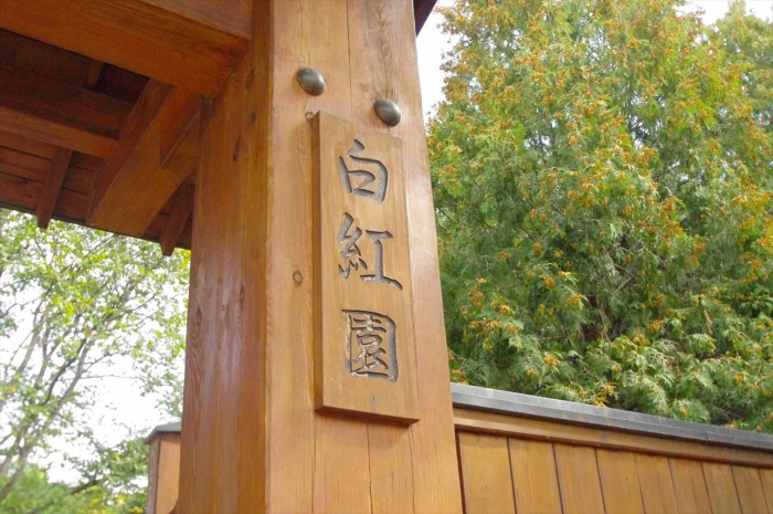 ヴロツワフ日本庭園 (6)