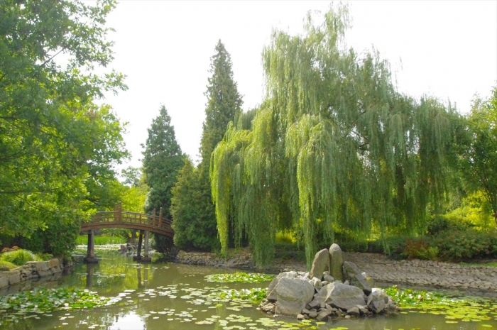 ヴロツワフ日本庭園 (7)