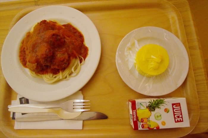 治験のごはん (4)