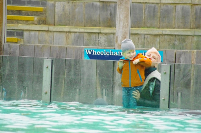ロンドン動物園ペンギン (7)