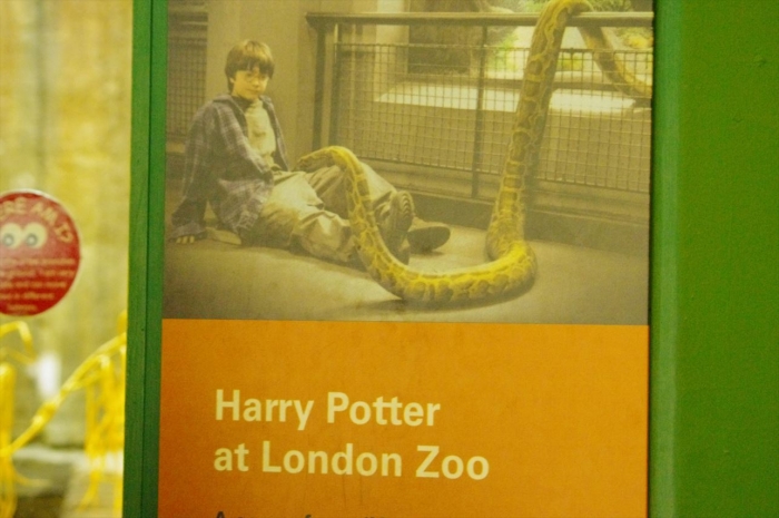 ロンドン動物園爬虫類館 (19)