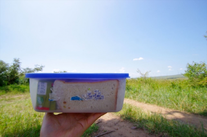 マサイマラランチ (1)