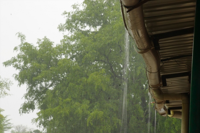 ビクトリアフォールズで大雨 (1)