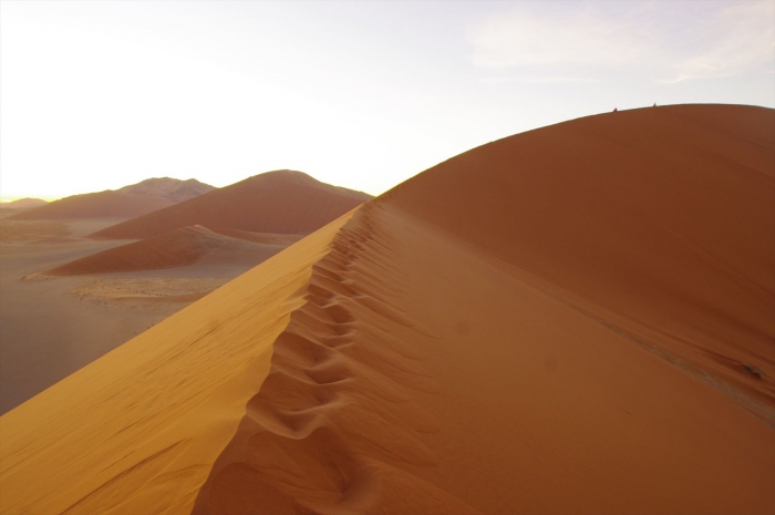 DUNE45 (25)