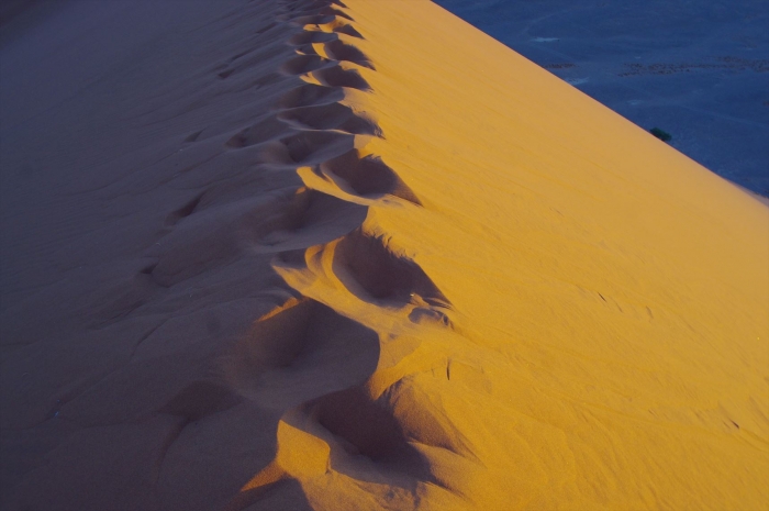 DUNE45 (37)