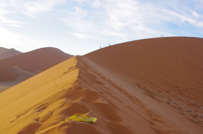 DUNE45 (65)
