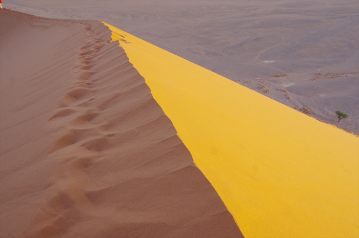 DUNE45 (64)