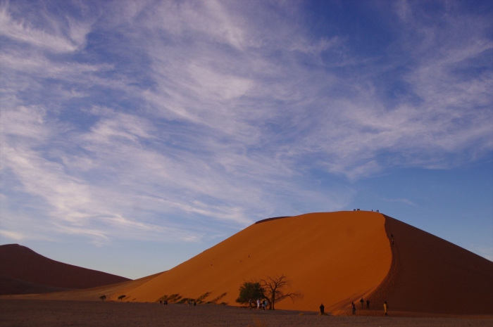 DUNE45 (75)
