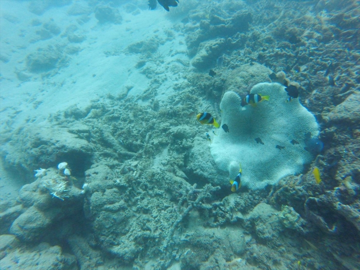 ハイダウェイの海 (3)