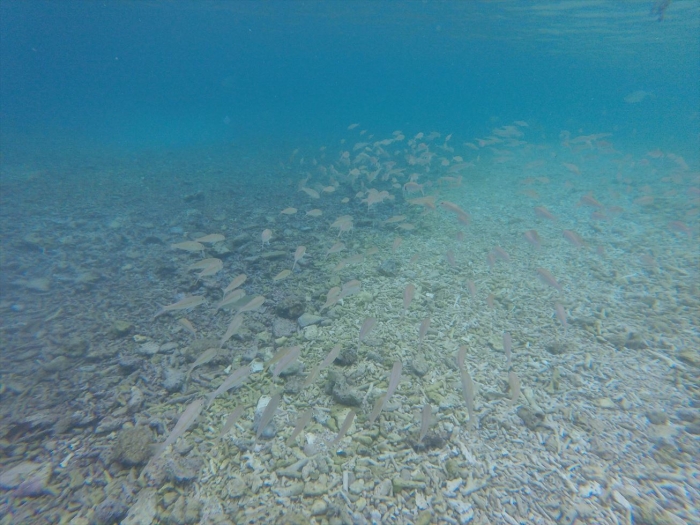 ハイダウェイの海 (1)
