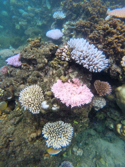 ハイダウェイの海 (17)