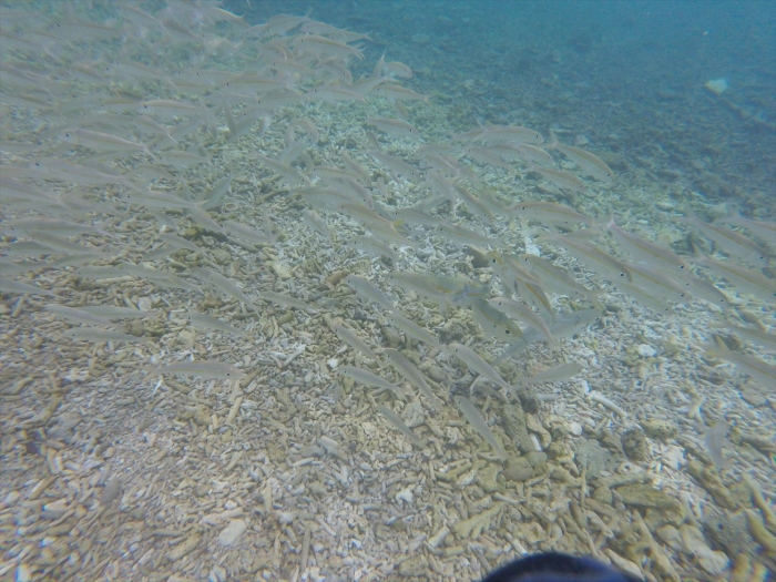 ハイダウェイの海 (7)