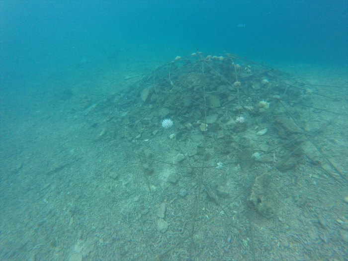 ハイダウェイの海 (38)