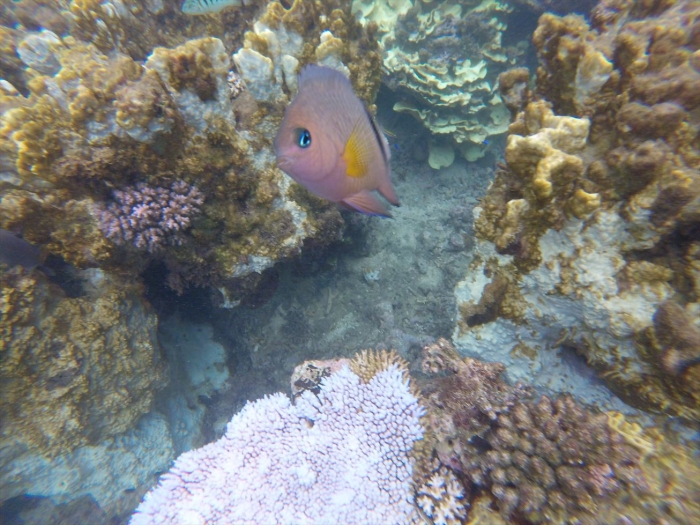 ハイダウェイの海 (31)