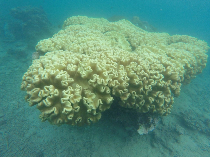 ハイダウェイの海 (39)