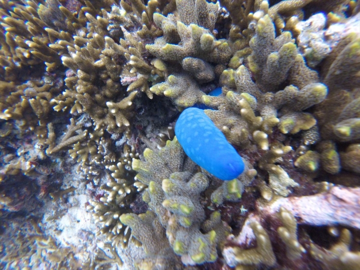 ハイダウェイの海 (47)