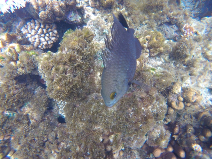 ハイダウェイの海 (80)