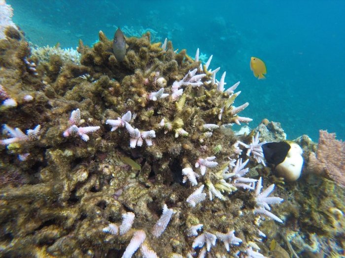 ハイダウェイの海 (83)