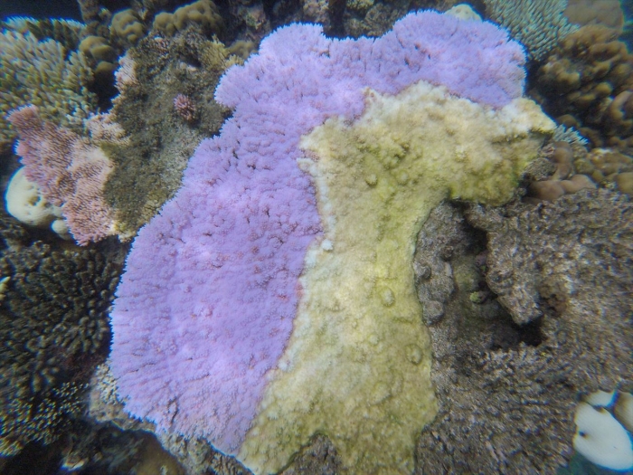 ハイダウェイの海 (68)