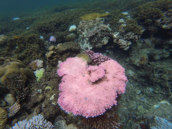 ハイダウェイの海 (64)