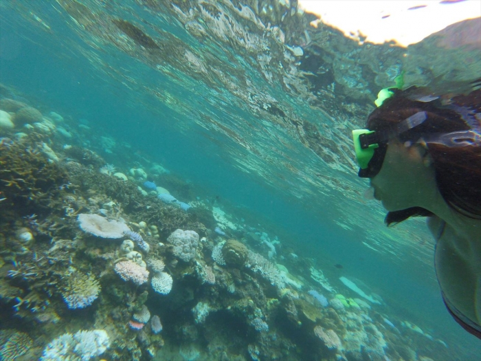 ハイダウェイの海 (84)