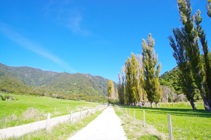 wainuifalls (3)