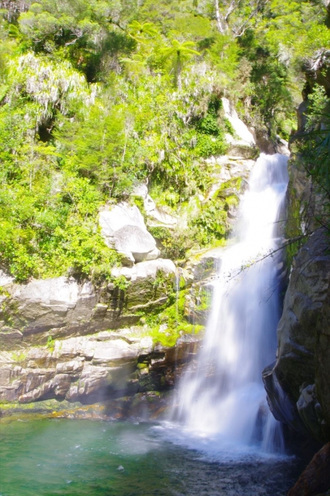 wainuifalls (20)