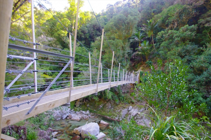 wainuifalls (10)