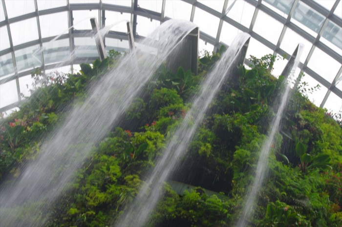 シンガポール植物園 (13)