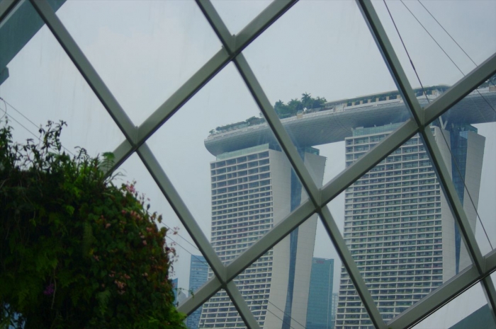 シンガポール植物園 (24)