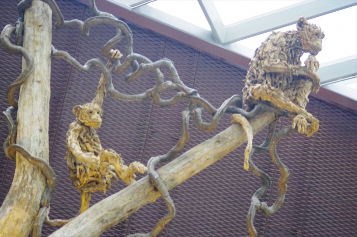 シンガポール植物園 (51)