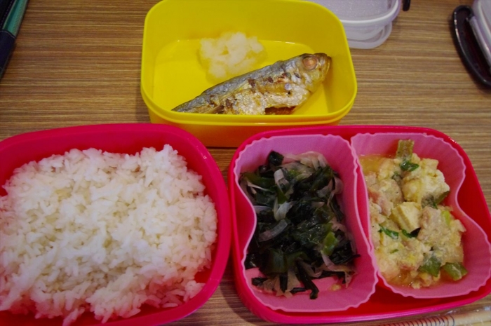 セブお弁当0512