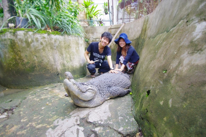 セブ動物園 (38)