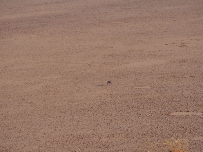 P2265524_R.jpg