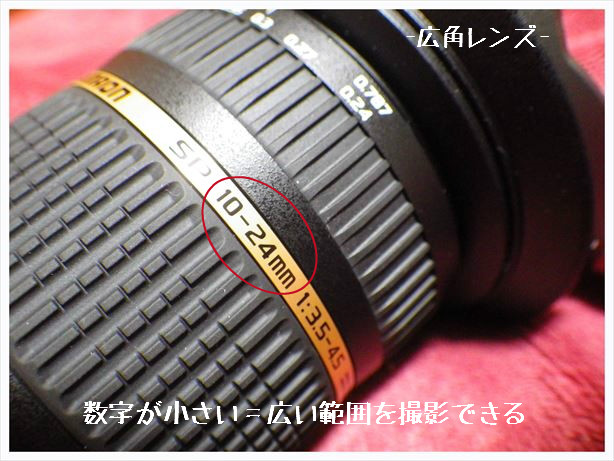 RIMG0979_R.jpg